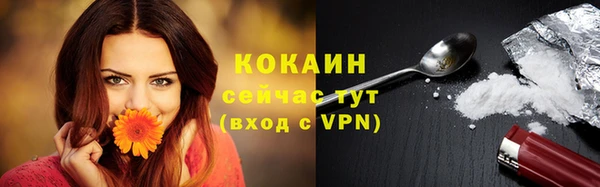 соль курить ск Алзамай