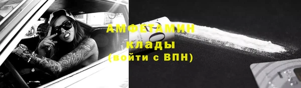 молекула духа Алексин