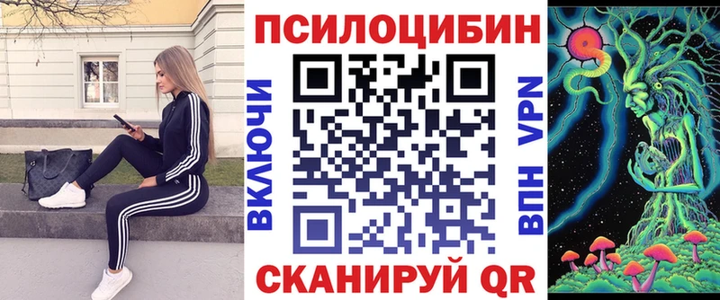 Псилоцибиновые грибы мицелий  Юрьев-Польский 